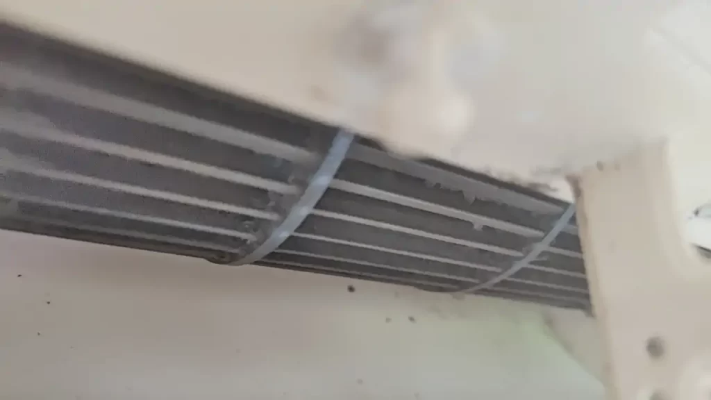 一通りダイソーのブラシで掃除してみた直後の様子