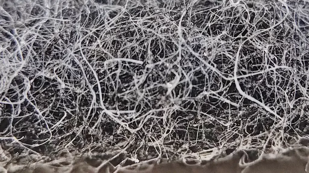 100均ダイソーで購入した「ゴムパワー　キッチンすき間スティック」のブラシ部分を拡大したところ