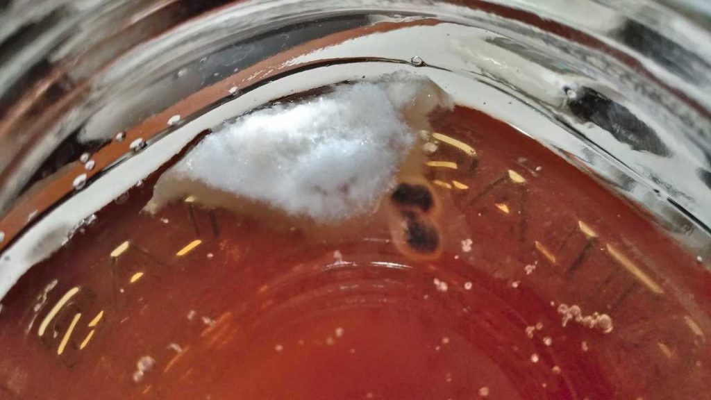 カビが発生した無患子せっけん液