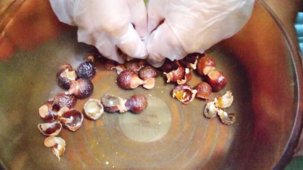 無患子でせっけん液づくり